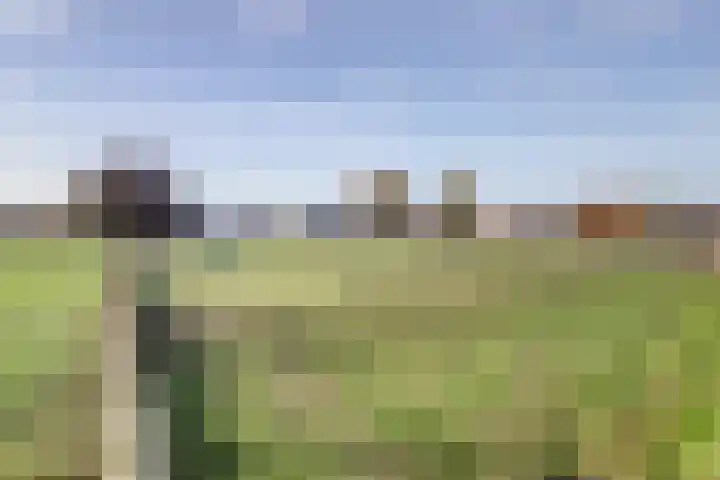 Korpersteeg 15 Ermelo thumbnail 49