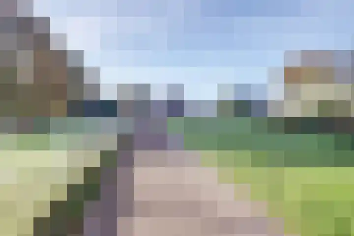 Korpersteeg 15 Ermelo thumbnail 51