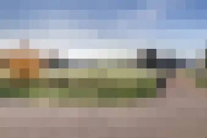 Korpersteeg 15 Ermelo thumbnail 53
