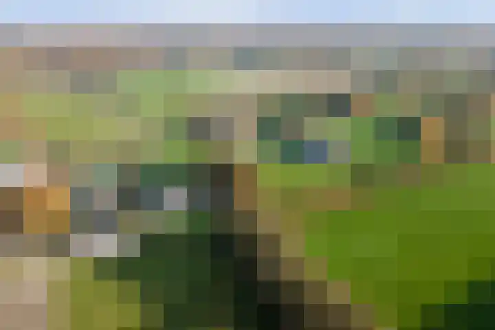 Korpersteeg 15 Ermelo thumbnail 55