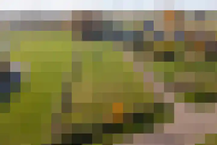 Korpersteeg 15 Ermelo thumbnail 56