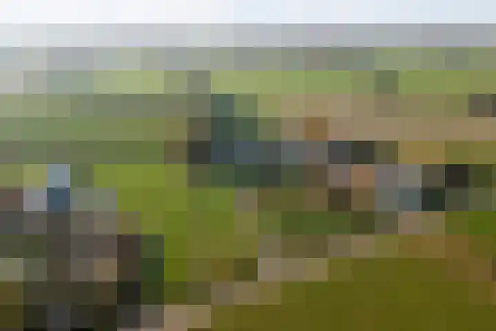 Korpersteeg 15 Ermelo thumbnail 57