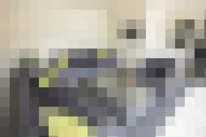 Logo van Korse Makelaars