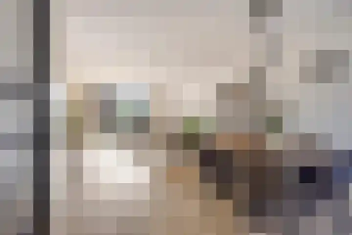 Korsebogerd 2 Lienden thumbnail 12