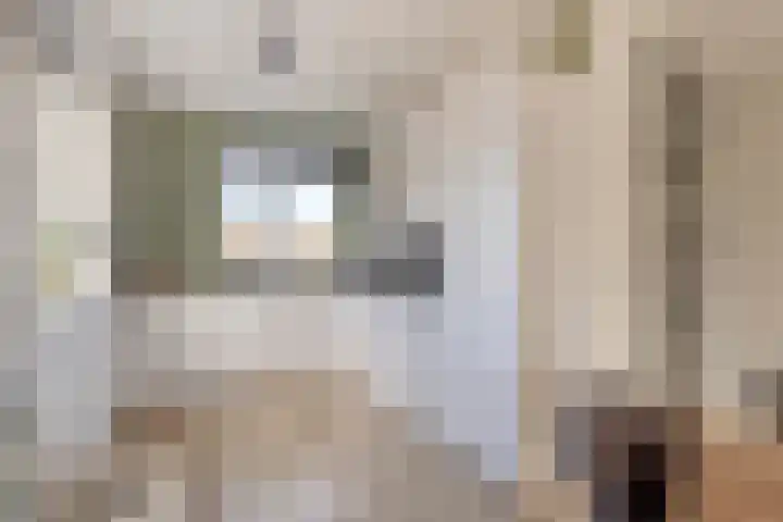 Korsebogerd 2 Lienden thumbnail 20