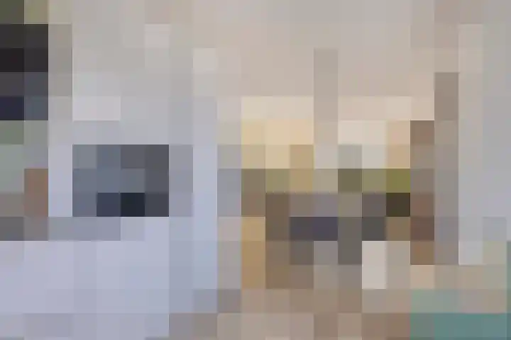 Korsebogerd 2 Lienden thumbnail 24