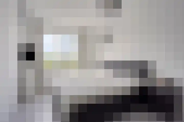 Korsebogerd 2 Lienden thumbnail 26