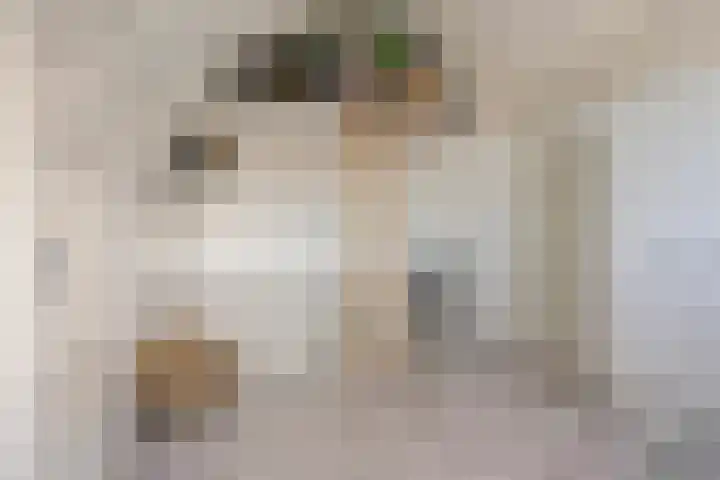 Korsebogerd 2 Lienden thumbnail 35
