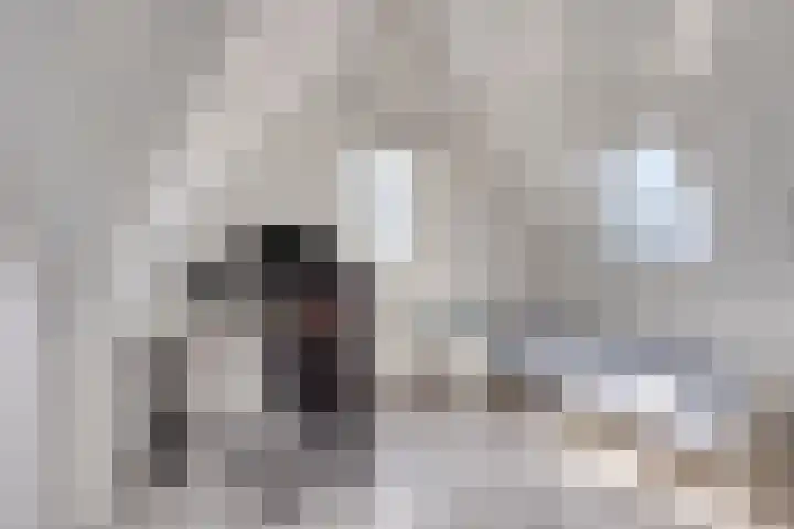 Korsebogerd 2 Lienden thumbnail 36