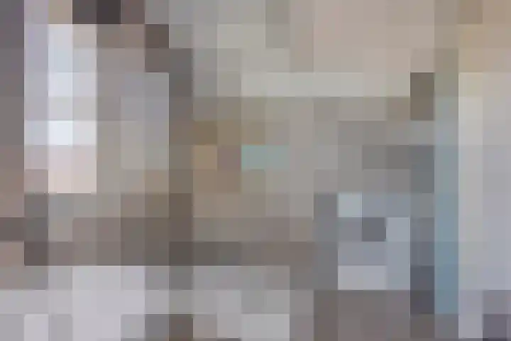 Korsebogerd 2 Lienden thumbnail 42