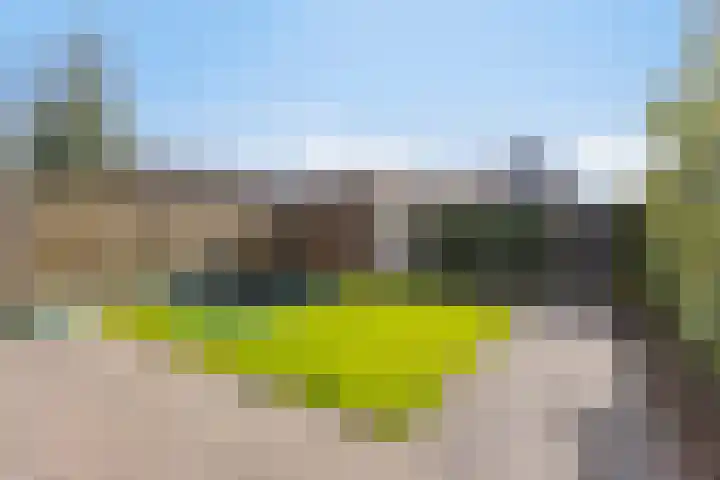 Korsebogerd 2 Lienden thumbnail 45