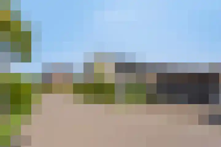 Korsebogerd 2 Lienden thumbnail 49