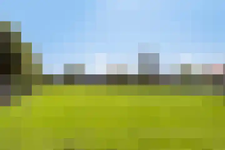 Korsebogerd 2 Lienden thumbnail 53
