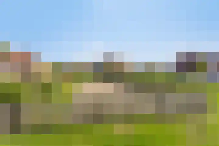 Korsebogerd 2 Lienden thumbnail 54