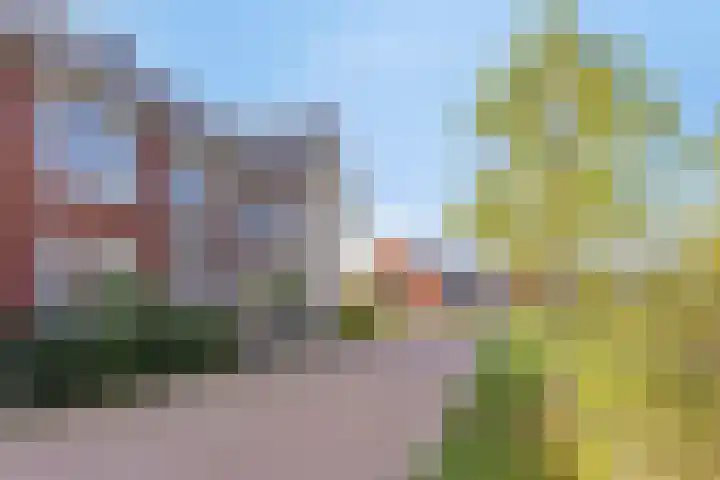 Korsebogerd 2 Lienden thumbnail 6