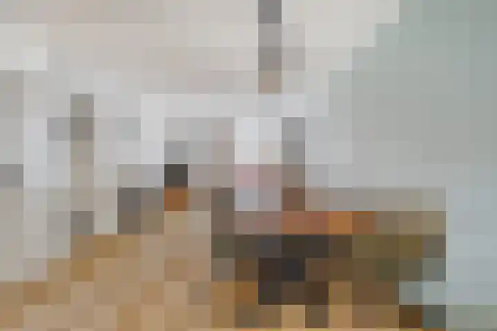 Korte Akkers 7 Koewacht thumbnail 6