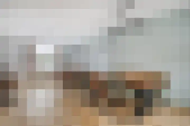 Korte Akkers 7 Koewacht thumbnail 7