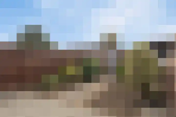 Korte Boterdijk 6 Uithoorn thumbnail 23