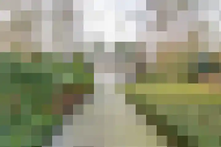 Korte Drilweg 4 A Venray thumbnail 47