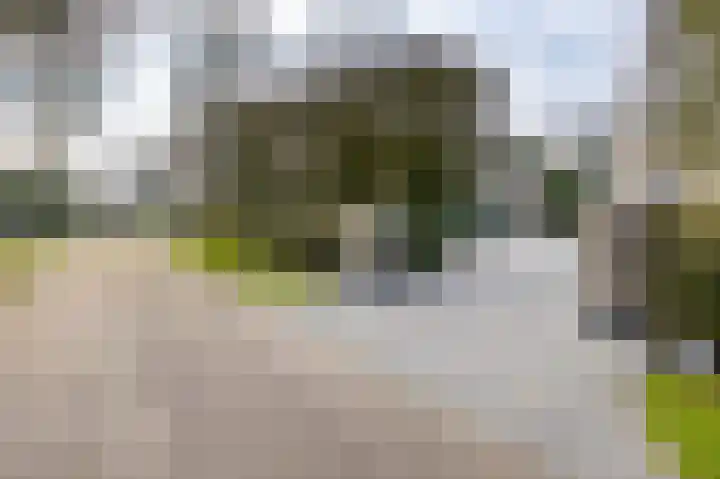 Korte Drilweg 4 A Venray thumbnail 66