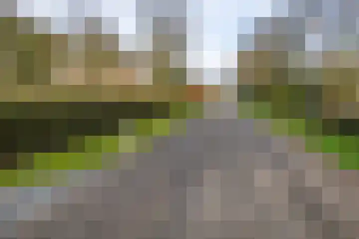 Korte Drilweg 4 A Venray thumbnail 67