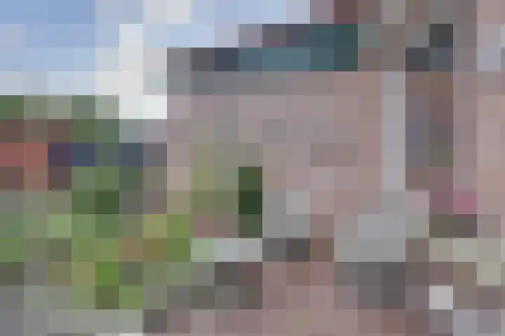 Korte Haeg 24 Ermelo thumbnail 31
