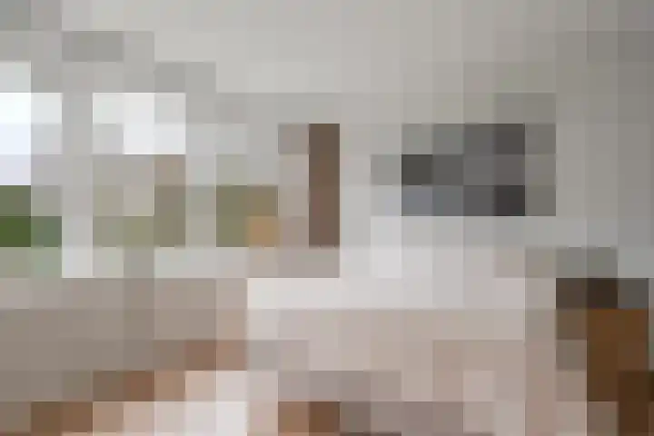 Korte Heul 113 Bussum thumbnail 22