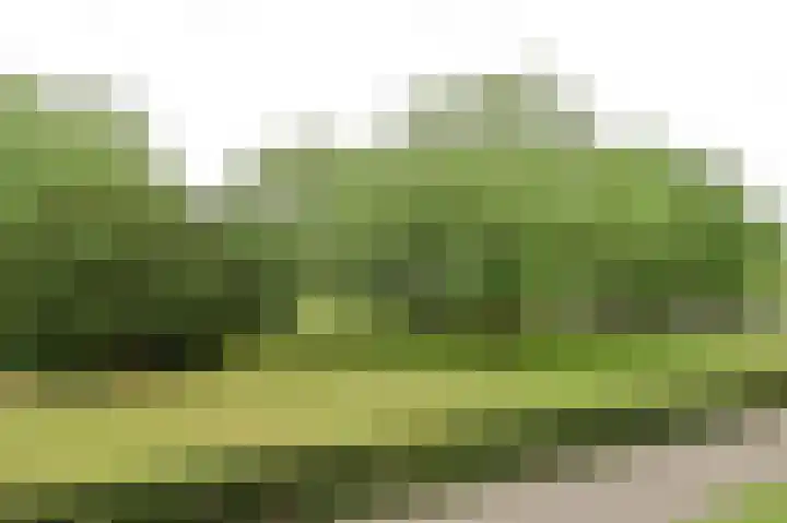Korte Heul 113 Bussum thumbnail 6