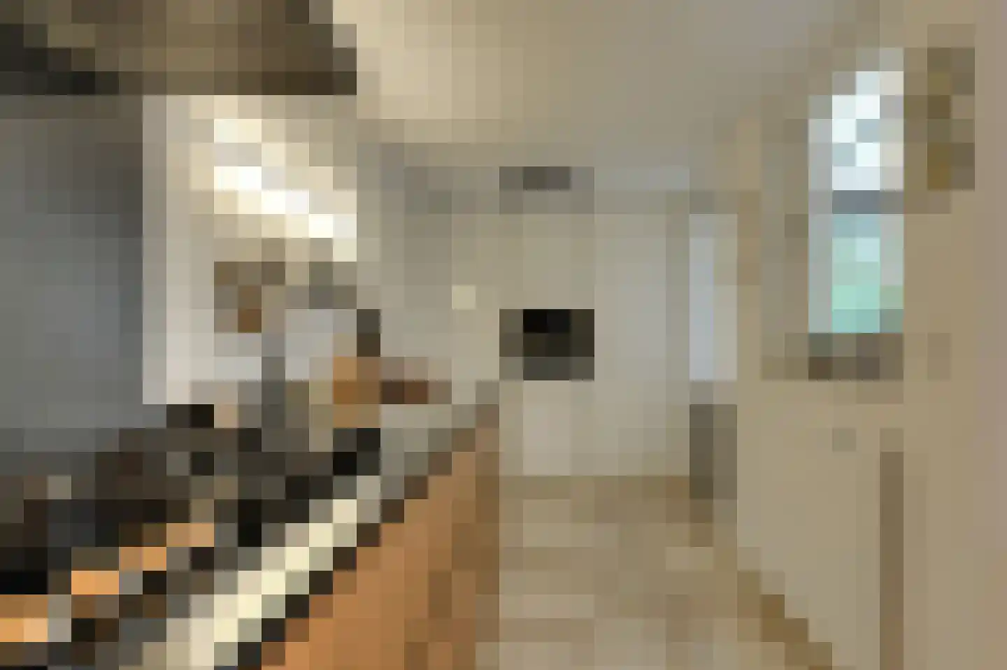 Korte Hil 2 Breda thumbnail 15