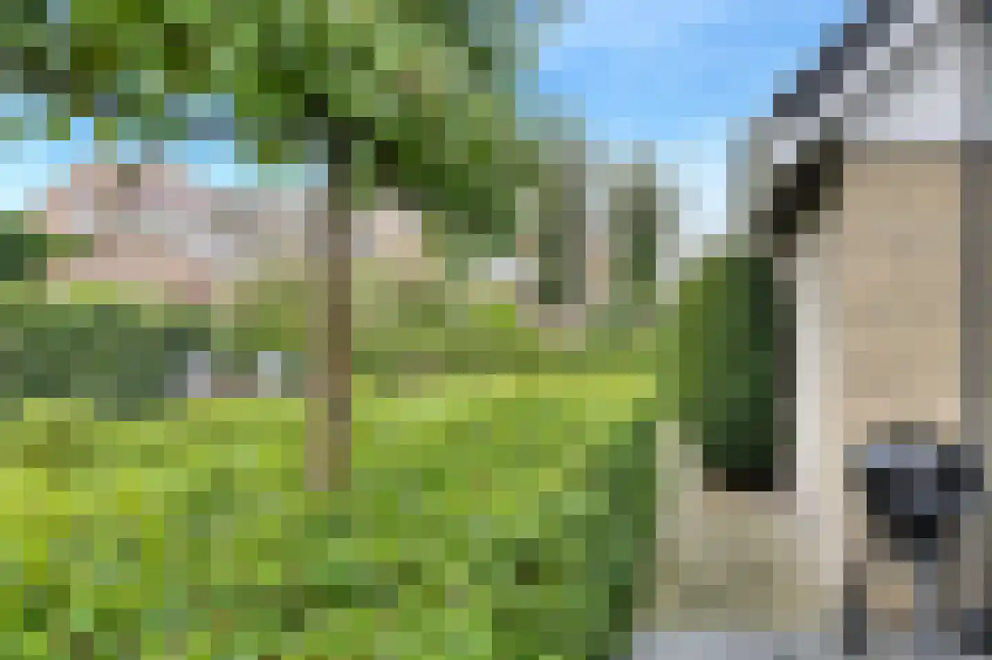 Korte Hil 2 Breda thumbnail 45