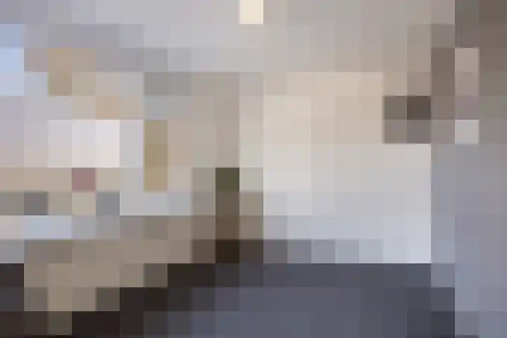 Korte Kuipersweg 16 Epe thumbnail 18