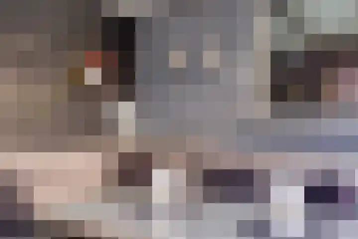 Korte Kuipersweg 16 Epe thumbnail 30