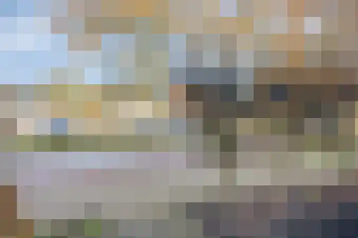 Korte Kuipersweg 16 Epe thumbnail 34