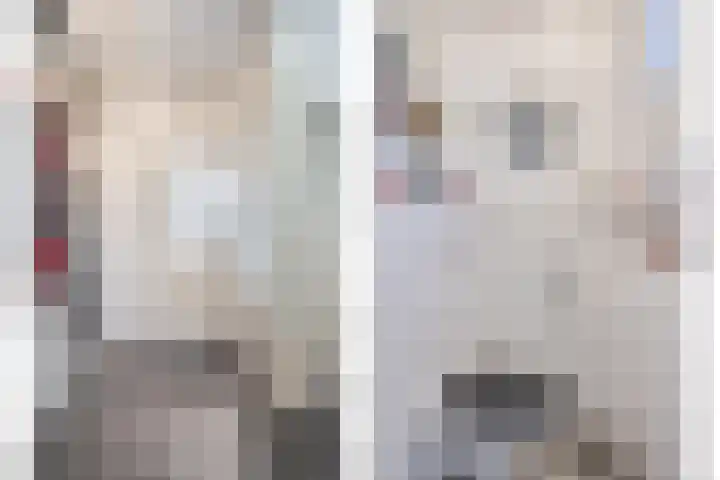 Korte Kuipersweg 16 Epe thumbnail 5