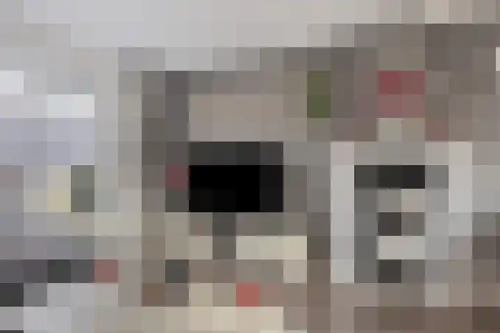 Korte Kuipersweg 16 Epe thumbnail 8