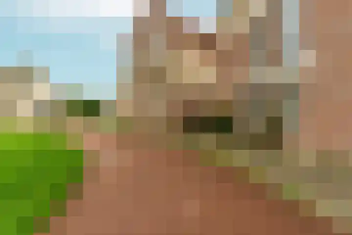 Korte Loef 30 Malden foto 2