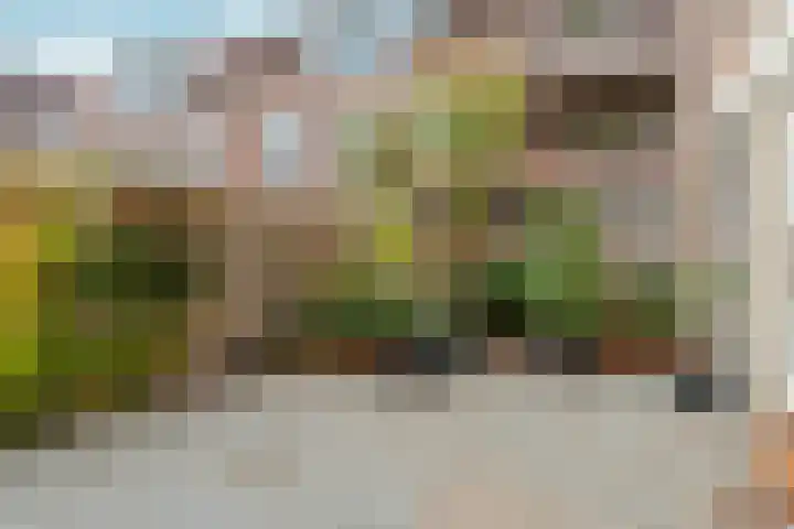 Korte Loef 30 Malden thumbnail 30