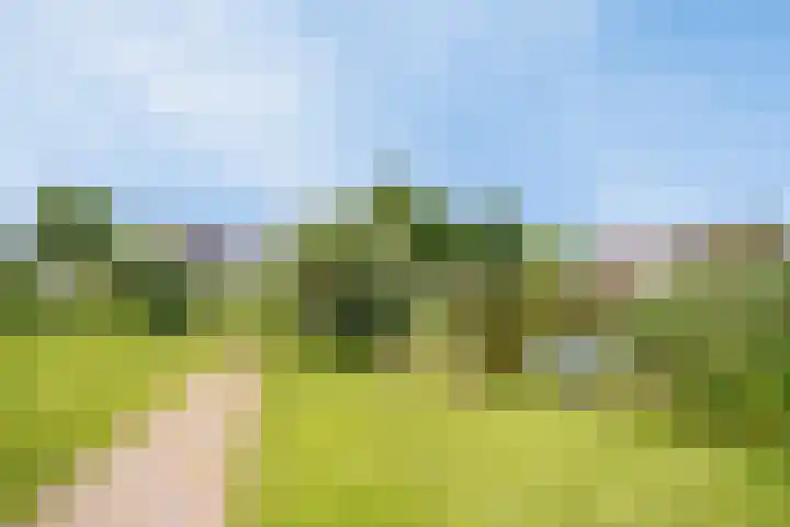 Korte Loef 34 Malden thumbnail 26
