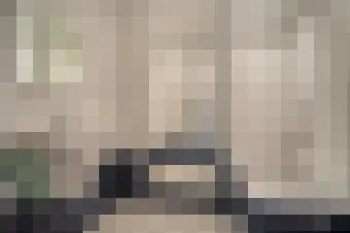 Korte Pas 8 A Wijchen thumbnail 17
