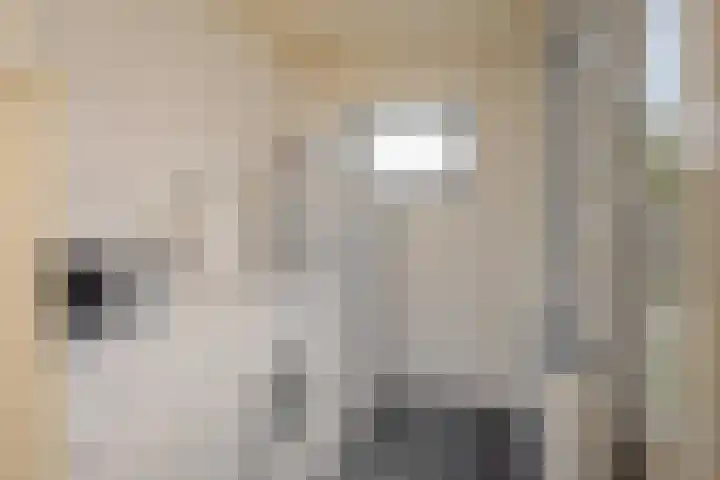 Korte Pas 8 A Wijchen thumbnail 9