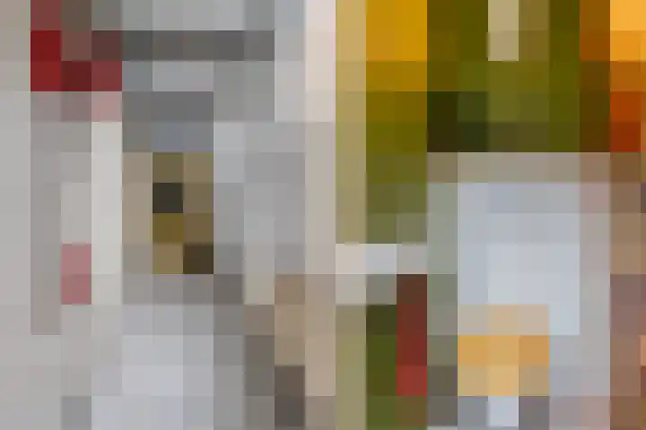 Korte Raam 2 a Gouda thumbnail 24