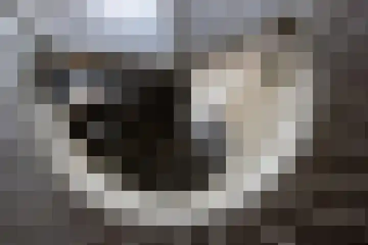 Korte Raam 2 a Gouda thumbnail 30