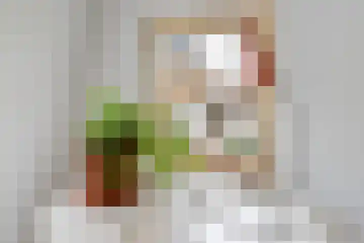 Korte Raam 2 a Gouda thumbnail 49