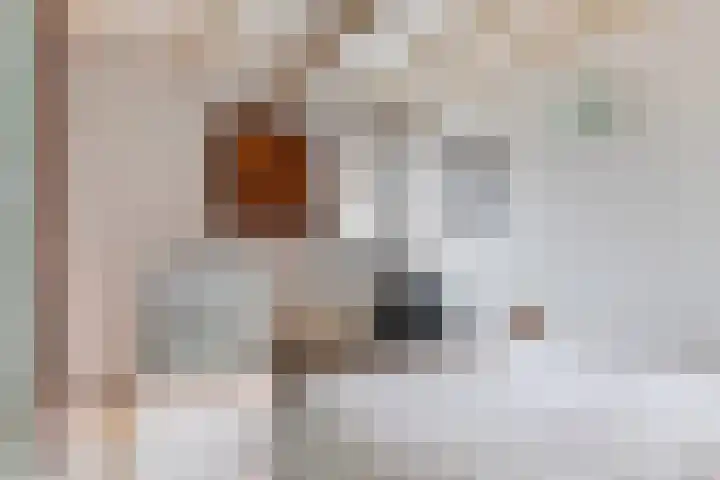 Korte Raam 2 a Gouda thumbnail 55