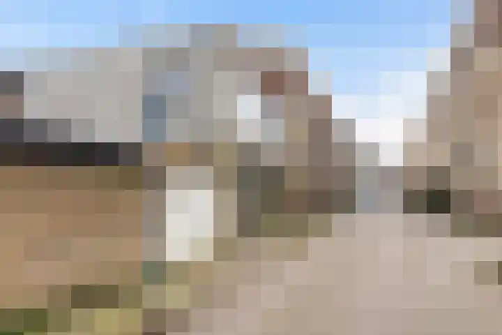 Korte Raam 2 a Gouda thumbnail 6