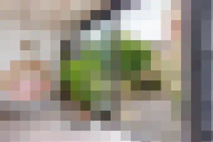 Korte Raam 2 a Gouda thumbnail 61