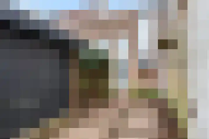 Korte Raam 2 a Gouda thumbnail 69