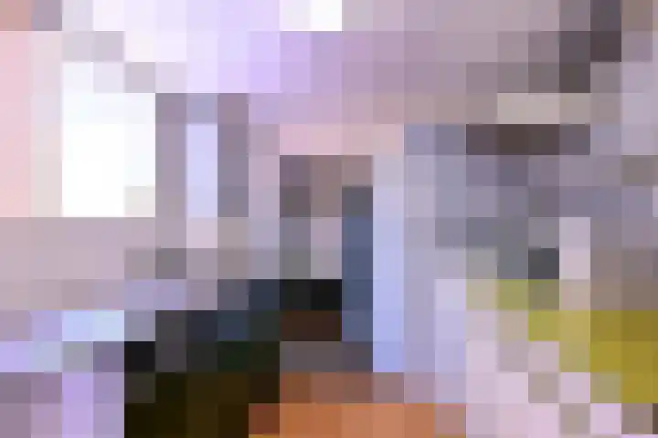 Korte Rij 3 Deventer thumbnail 11