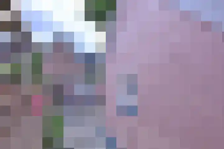 Korte Rij 3 Deventer thumbnail 16
