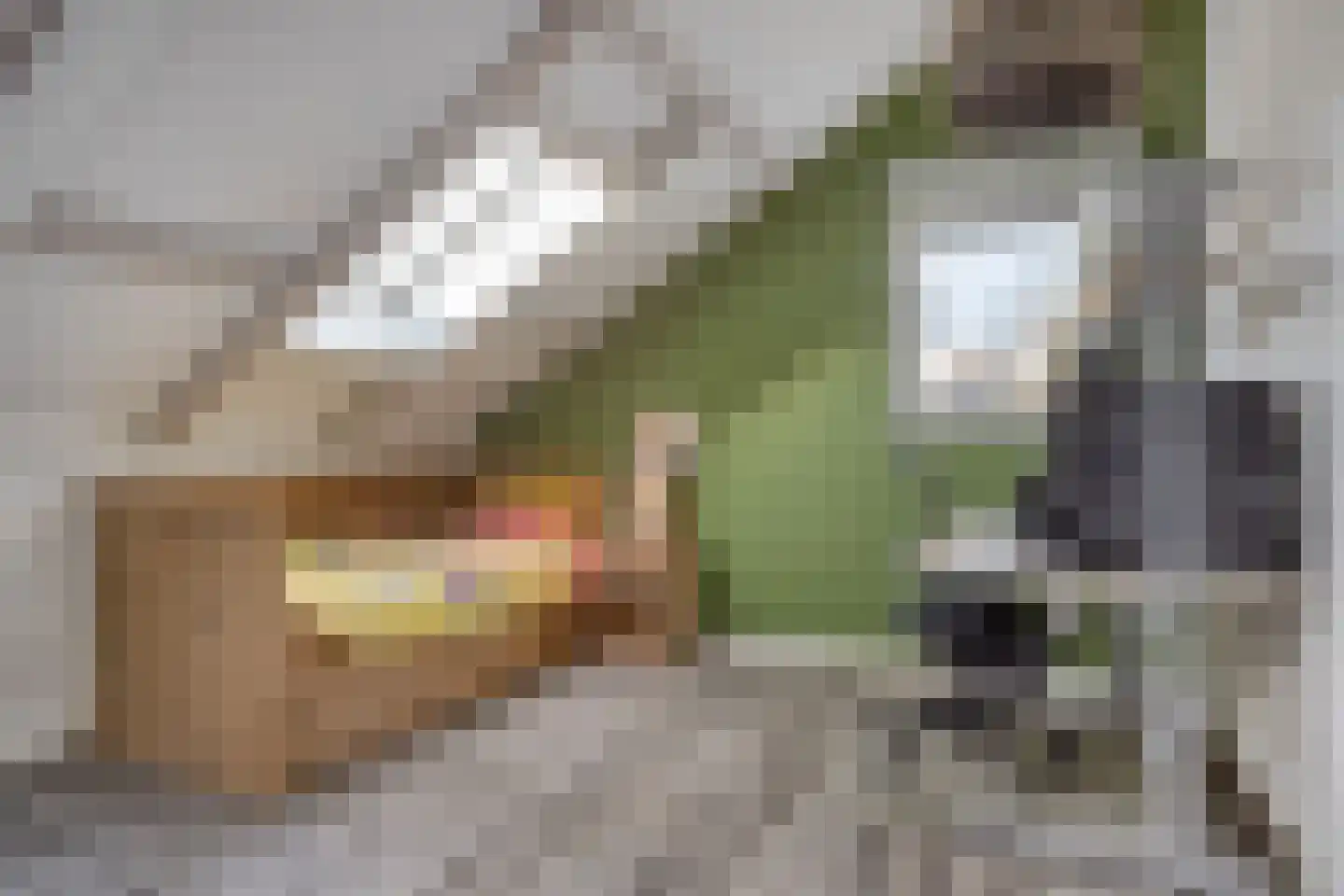 Korte Rij 3 Deventer thumbnail 17